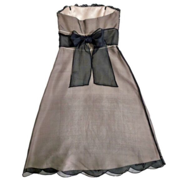 White House Black Market Silk Chiffon Strapless w/Floral Embroidery Detail 0 - Picture 10 of 10